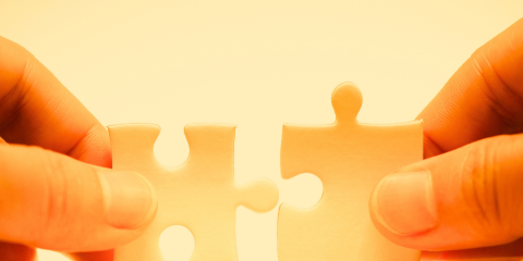 Birleşme ve Devralmaların Kontrolü - Merger Control