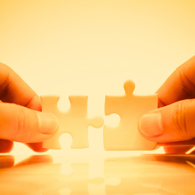 Birleşme ve Devralmaların Kontrolü - Merger Control