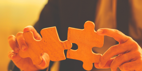 Taahhüt Rejimi-Remedy Regime